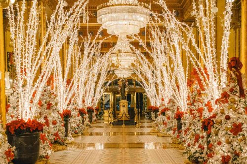 The Best Places to Go During the Holiday Season