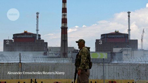 Another Potential Nuclear Disaster in Ukraine