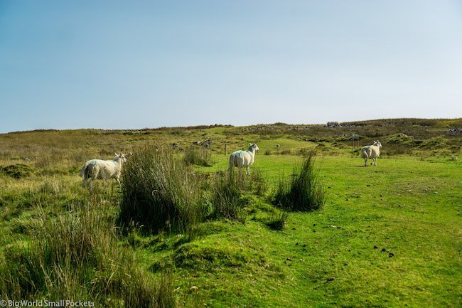 Top 10 UK Destinations for Budget Travellers