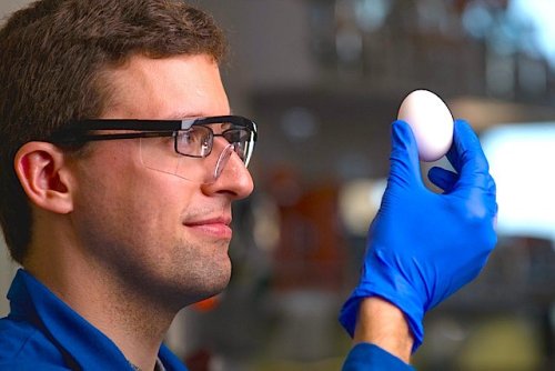 Entropy Defied: Researchers Unboil An Egg