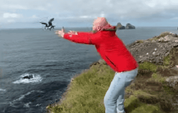 Locals Throw Endangered Birds Off Cliffs in Yearly Ritual on Iceland