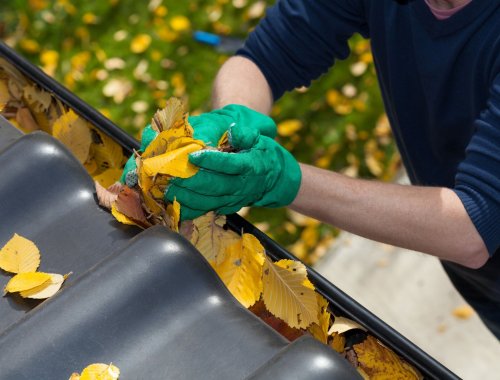 WHY FALL IS AN IMPORTANT TIME TO CLEAN YOUR GUTTERS