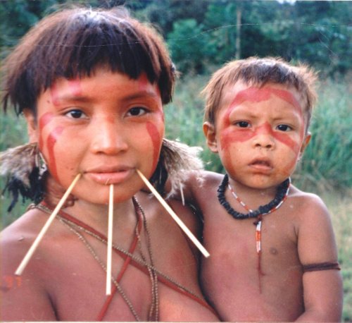 The Yanomami Crisis