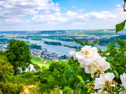 Die schönsten Wander- und Weinregionen Deutschlands