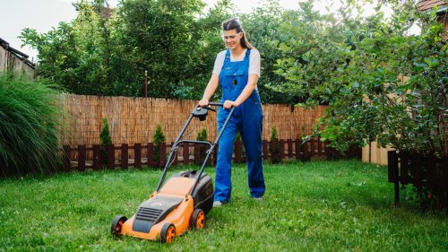 Important things to consider when buying a lawn mower 