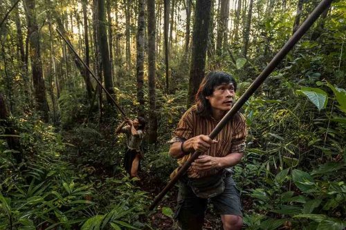 Tales from the rainforest: 5 photo stories from around the world