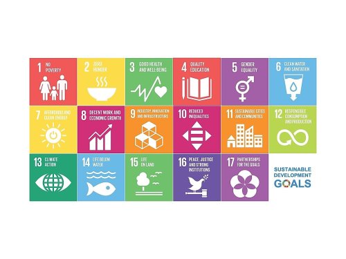 Sustainable Development Goals: Which Countries Have Made the Most Progress?