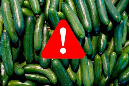 Major Cucumber Salmonella Outbreak