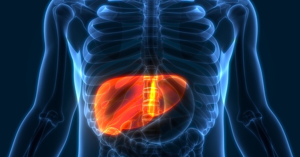 Does the liver play a role in the onset of type 2 diabetes?