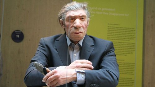 What If The Neanderthals Had Not Gone Extinct?