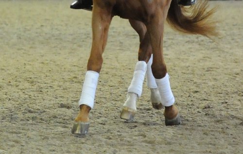 Nail your horse’s lateral work