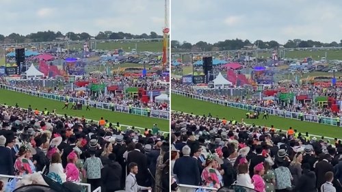 Watch: Epsom Derby Festival protester swarmed by guards and dragged off racecourse after running onto track