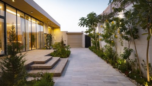Low-maintenance alternatives for grass to try out in your yard