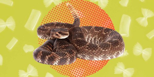 Rattlesnake Pasta Is So Good, Fans Say It’s a ‘Keeper in Our Rotation’