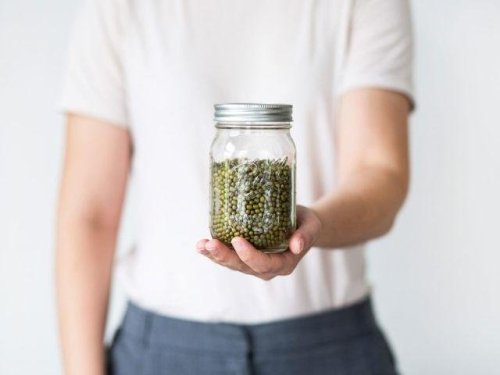 Simple Tips for an Earth-Friendly Existence