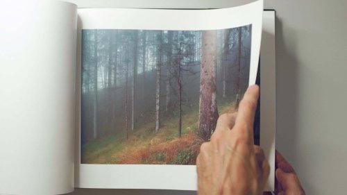 Inspiration from Photo Books