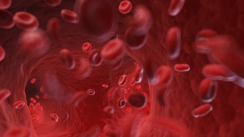 Your Blood Type Could Say A Lot About Your Health