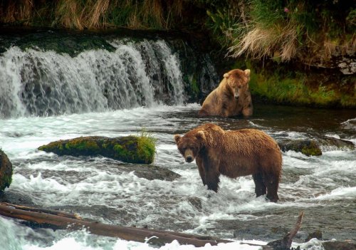 Magazine - National Parks