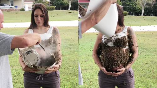 'Pregnant woman gets a colony of COUNTLESS bees placed on her belly !'