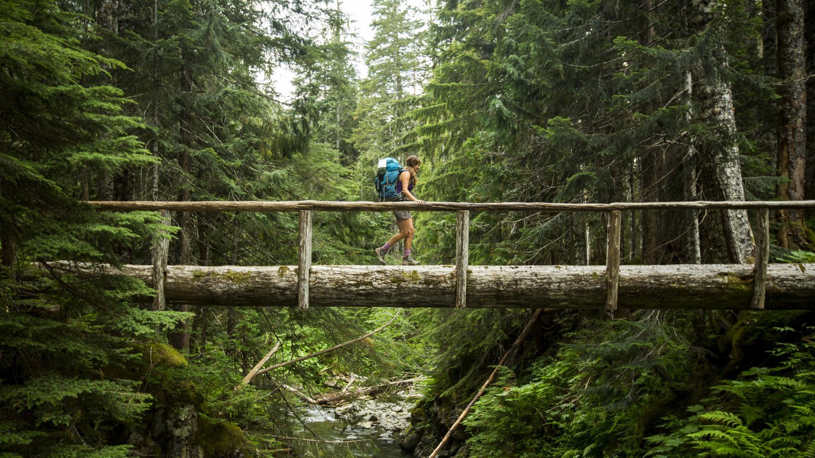West coast national parks you won't want to skip 