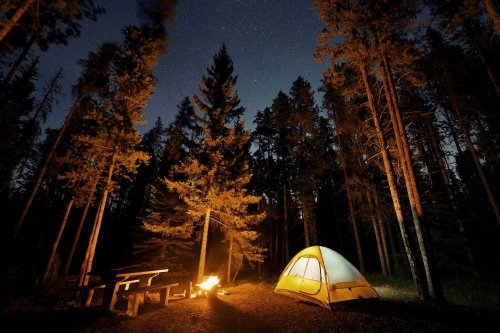 10 Great Campgrounds in Northern California