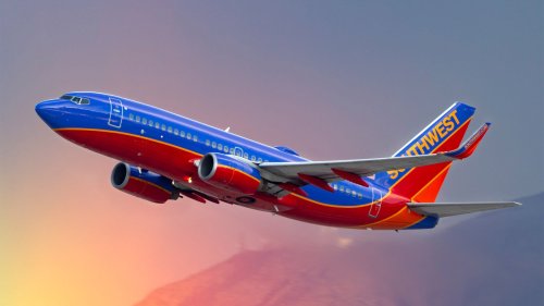 Naked poop incident on Southwest flight ends in wild airport chaos