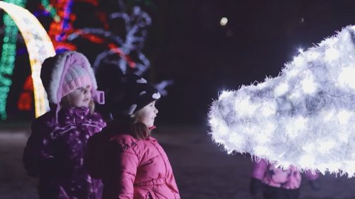 What to expect for this year’s Winter Festival of Lights at Niagara Falls!