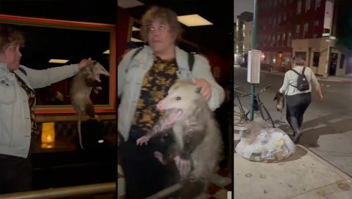 Alaskan woman removes opossum from Brooklyn bar in viral video 