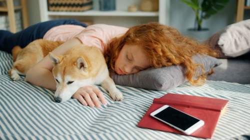 Snooze Tactics: How Animals Catch Zzzs in the Wildest Ways