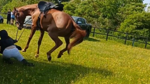 Scared Horse almost tramples her own rider *Horse riding fail*