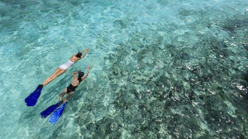 Tips For A Fun And Safe Snorkeling Adventure