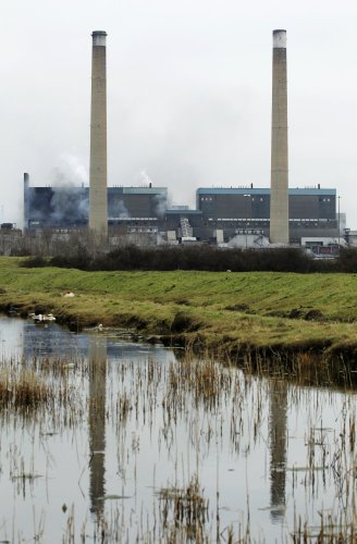 Europe's most popular source of 'renewable' energy is worse for the planet than coal