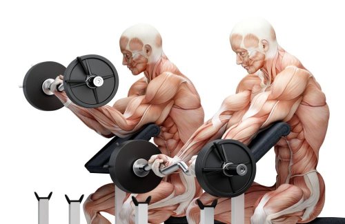 Build Arms That Turn Heads: The Only 6 Exercises You'll Ever Need