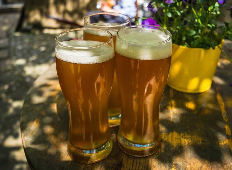Homebrewed Beer Recipes for Beginners