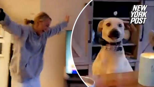 Does this dog say 'I love you'? Hear it for yourself