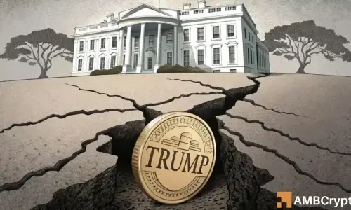 Capitol Gridlock and Trump Tokens