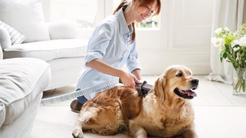 The coolest pet gadgets to buy for your furry friends