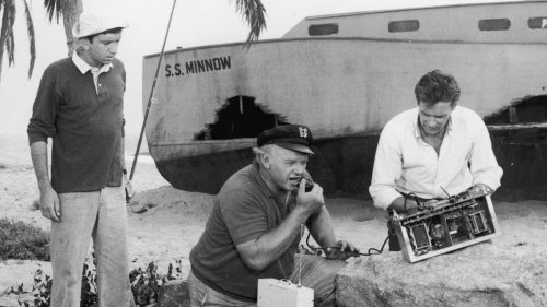 Russell Johnson Lost His Temper With One Gilligan's Island Guest Star