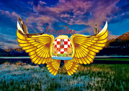 Herzegovina cover image