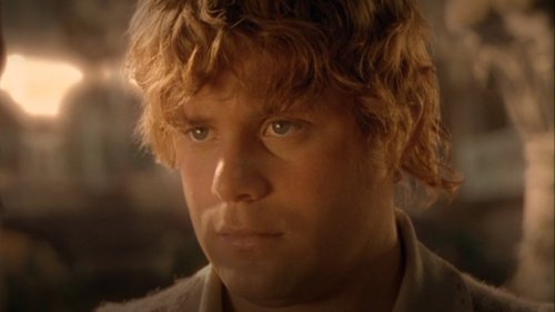 Tolkien Himself Confirmed What We All Suspected About Samwise's Role In LOTR