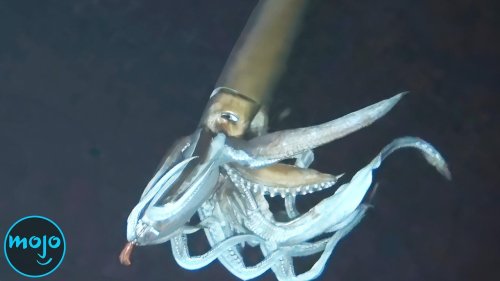 Top 10 Unsolved Deep Ocean Mysteries