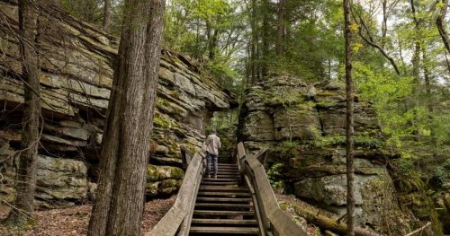 14 Beautiful (But Underrated) Parks To Visit In West Virginia