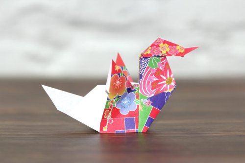 Amazing origami projects to make today