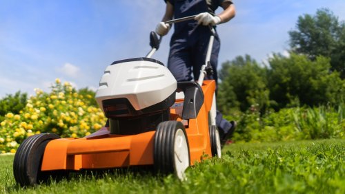 Simple Tips For Knowing How Often To Mow Your Lawn