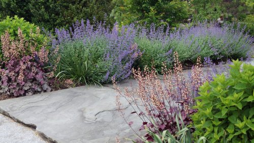 Hummingbirds will flock to your yard with these plants and tricks 