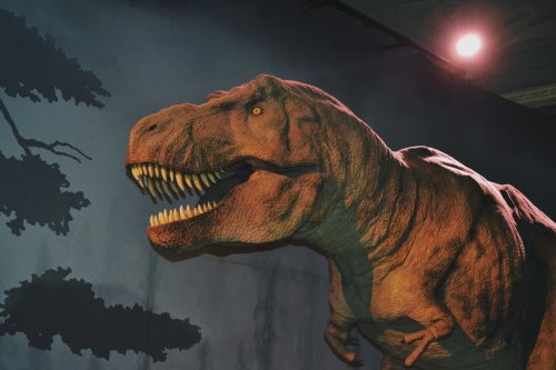 What If T-Rex Was Still Alive?