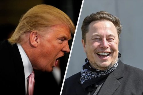 Will Trump Come Back to Twitter Once It's Under Musk's Control?