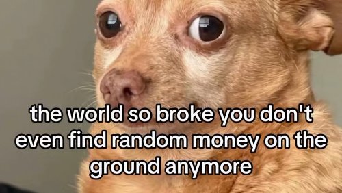 The 250+ goofiest memes of the week! 