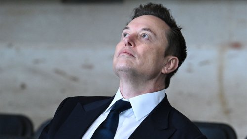 Elon Musk is allegedly sliding into women's DMs to have babies
