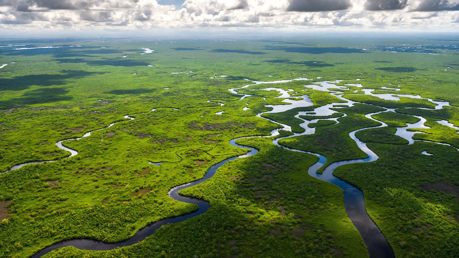 Florida's Most Snake-Packed Waters Aren't For The Faint Of Heart
